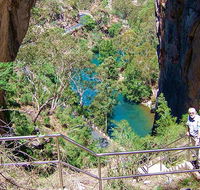 Carlotta Arch walking track - Accommodation Mount Tamborine