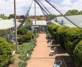Canberra Walk In Aviary - Accommodation Mount Tamborine 2