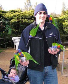 Canberra Walk In Aviary - Accommodation Mount Tamborine 0