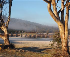 Savina Lane Premum Wines - Accommodation Mount Tamborine 0