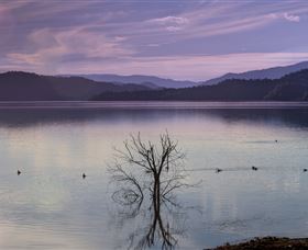Scone NSW Accommodation Mount Tamborine