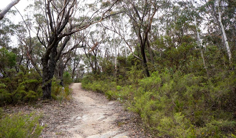 Ganbenang NSW Accommodation Mount Tamborine