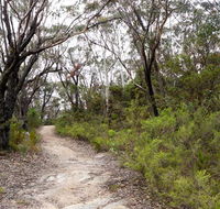 Six Foot walking track - Accommodation Mount Tamborine