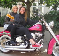 Wild Ride Harley and Motorcycle Tours - Accommodation Mount Tamborine