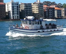 Deep Sea Fishing Charter - Accommodation Mount Tamborine 2