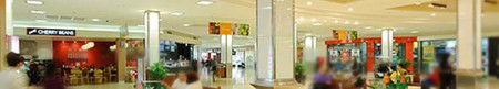 Ashfield Mall Shopping Centre - Accommodation Mount Tamborine 1