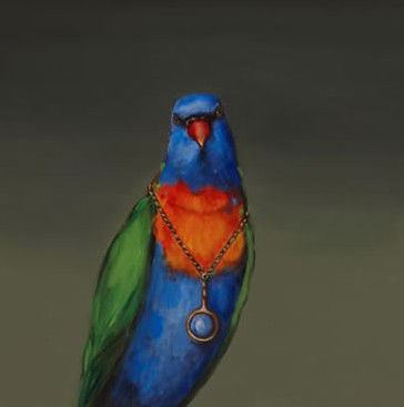 Darren Knight Gallery - Accommodation Mount Tamborine 3