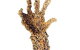 Coo-ee Aboriginal Art Gallery - thumb 0
