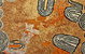 Coo-ee Aboriginal Art Gallery - thumb 1