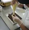 Fremantle Chocolate Pty Ltd - Accommodation Mount Tamborine 1