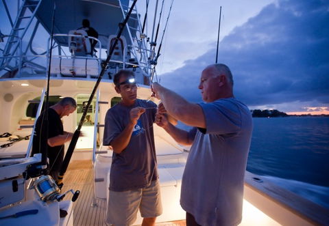 Amokura Charters - Accommodation Mount Tamborine 1