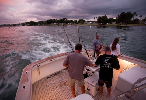 Amokura Charters - Accommodation Mount Tamborine 3