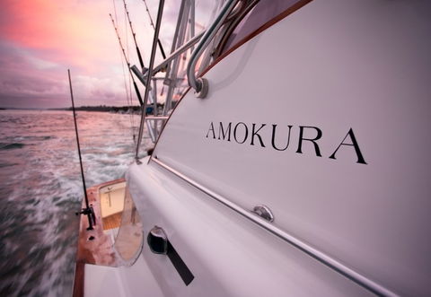 Amokura Charters - Accommodation Mount Tamborine 4