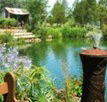 Gone Walkabout Safaris - Accommodation Mount Tamborine