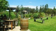Gone Walkabout Safaris - Accommodation Mount Tamborine 2