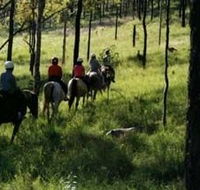 Hunter Valley Horse Riding and Adventures - Accommodation Mount Tamborine
