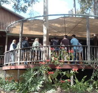 Hunter Vineyard Tours - Accommodation Mount Tamborine