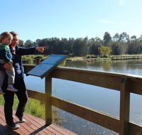 Hunter Wetlands Centre Australia - Accommodation Mount Tamborine