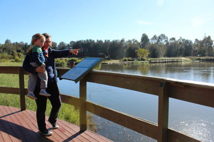 Hunter Wetlands Centre Australia - Accommodation Mount Tamborine 0
