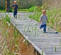 Hunter Wetlands Centre Australia - Accommodation Mount Tamborine 1