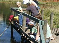 Hunter Wetlands Centre Australia - Accommodation Mount Tamborine 2