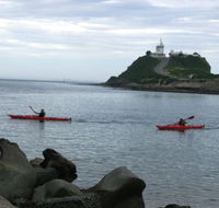 Newcastle Kayak Tours - Accommodation Mount Tamborine