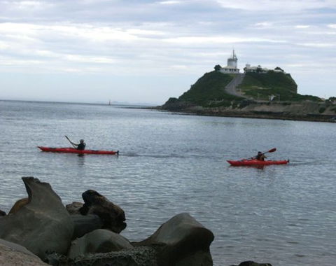 Newcastle Kayak Tours - Accommodation Mount Tamborine 0