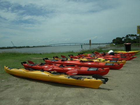 Newcastle Kayak Tours - Accommodation Mount Tamborine 2