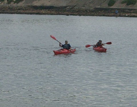 Newcastle Kayak Tours - Accommodation Mount Tamborine 4