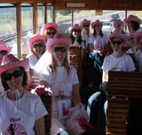Newcastles Famous Tram - Accommodation Mount Tamborine