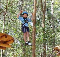 TreeTops Newcastle - Accommodation Mount Tamborine
