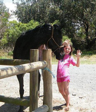 Pegasus Park Equestrian Centre - Accommodation Mount Tamborine 3