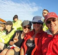 Byron Bay Whale Watching - Accommodation Mount Tamborine