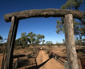 Silver City Tours - Accommodation Mount Tamborine 2