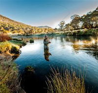 Fly Fishing Tumut - Accommodation Mount Tamborine