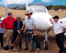Bankstown Aerodrome NSW Accommodation Mount Tamborine