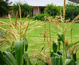 Experiment Farm Cottage - Accommodation Mount Tamborine 4