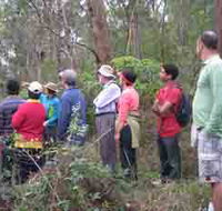 Boronia Tours - Accommodation Mount Tamborine