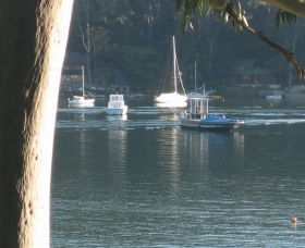 Church Point Ferry Service - Accommodation Mount Tamborine 1
