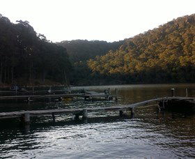 Church Point Ferry Service - Accommodation Mount Tamborine 5