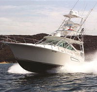 1300 Big Fish - Accommodation Mount Tamborine