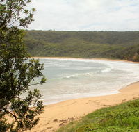 Maitland Bay track - Accommodation Mount Tamborine