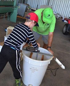 Canoelands Orchard - Accommodation Mount Tamborine 2