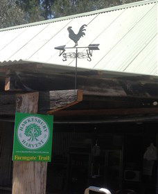 Canoelands Orchard - Accommodation Mount Tamborine 3