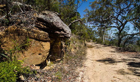 Canoelands Ridge Walking Track - Accommodation Mount Tamborine 0