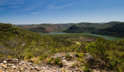 Canoelands Ridge Walking Track - Accommodation Mount Tamborine 3