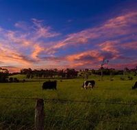 Made in Macarthur Food and Wine Tours - Accommodation Mount Tamborine