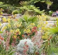 The Australian Botanic Garden Mount Annan - Accommodation Mount Tamborine