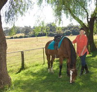 Sugarloaf Horse Centre - Accommodation Mount Tamborine