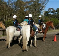 Darkes Forest Riding Ranch - Accommodation Mount Tamborine